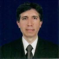 4900+ "Ariel" profiles