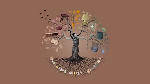 Check spelling or type a new query. Dunn Edwards Color Design 2022 Naturrensing Youtube