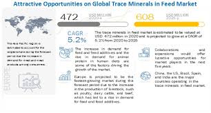 Trace Minerals In Feed Market By Type Livestock Region Global Forecast To 2025 Marketsandmarkets