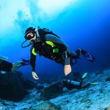 TOP 10 BEST Scuba Certification in Chicago, IL - Updated 2025 - Yelp