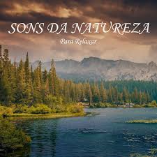 Ótimo para yoga e zen meditação, música para dormir profundamente, relaxar e acalmar a mente com sons da floresta e paisagem de outono. Sons Da Natureza Para Relaxar Pt 47 Song By Musica Relaxante Spotify