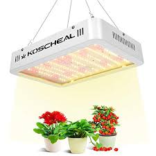 Maybe you would like to learn more about one of these? Review For Vivosun Latest Vs1000 Led Grow Light With Samsung Lm301h Diodes Sosen Driver Dimmable Lights Sunlike Full Spectrum For Indoor Plants Seeding Veg And Bloom Plant Growing Lamps