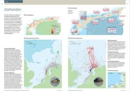 Marker wadden restoration project, run by natuurmonumenten will restore lake marken (markermeer), one of the largest marker wadden. Bosatlas Van De Wadden Dynamiek Gestold In Kaarten