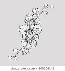 Hand Drawn Ink Floral Ornament With Flowers Orchid Vector Eps 10 Orchid Flower Tattoos Petite Tattoos Orchid Tattoo