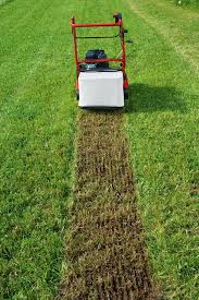 Den Garten Mulchen Warum Und Weshalb Lawn Home Garden Garden Drawing