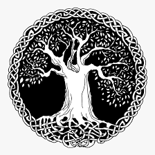 The best selection of royalty free tree of life vector art, graphics and stock illustrations. Tree Of Life Celtic Tree Of Life Png Transparent Png Kindpng
