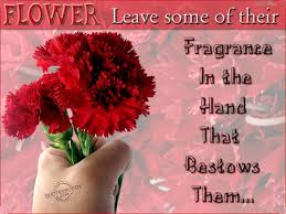 Flower quotes and saying with hibiscus flower images today is the day. Quotes About Flowers 532 Quotes