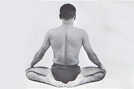 Hatha Yoga Yoga Poses Asanas Sequences And Benefits Hatha Yoga Asanas Yoga Asanas Hatha Yoga