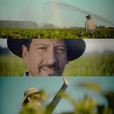 Jimmy Rivero (@jimmyrivero) • Instagram photos and videos