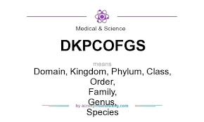 Phylum Science Definition Alfreddean Club