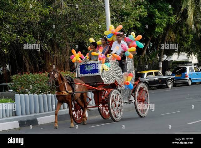 Victoria or horse cart on Bombay road, Bombay Mumbai, Maharashtra, India, Asia Stock Photo - Alamy