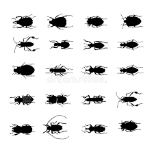 Check spelling or type a new query. Vario Vector De Las Siluetas De Los Insectos Ilustracion Del Vector Ilustracion De Casero Insectos 9428888