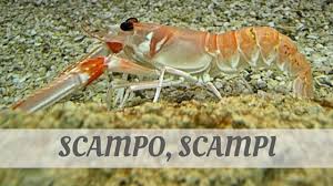 Jul 03, 2021 · how to say crustaceans in english? Pronounce Scampo Scampi With Audio Phoneticsscampo Scampi Pronunciation