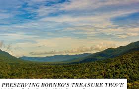 Visitors could then see the efforts taken by. Seminar On The Imbak Canyon Rainforest Research And Training Programme Icrrtp Asm Focus