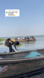 Image result for Nile Blue 1988 ARO