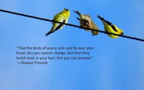 Find pest and wildlife control. That The Birds Of Worry And Care Fly Over You Head This You Cannot Change But That They Build Nests In Your Worry Quotes Love Me Quotes Quotes For The Soul