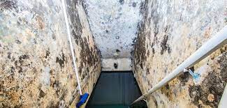 Die mieter werden seitdem per aushang im treppenhaus auf entsprechendes lüftungsverhalten zur. Schimmel In Der Wohnung Alle Rechte Eines Mieters