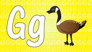 The most common animals that start with a g is a giraffe, goat, guinea pig, and a gorilla. Letter G Song For Kids Words That Start With G Animals That Start With G Youtube