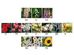 There are over 400,000 types of flowering plants, so there is sure to be a flower that speaks to your unique personality! Kibbe Types As Flowers Kibbe