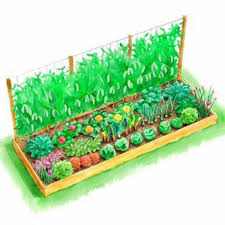 Gemusebeet Planen Tipps Fur Praktisch Orientierte Gartner Archzine Net Garten Hochbeet Bessere Zuhause Und Garten Garten Grundriss