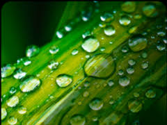 Choose from a curated selection of live wallpapers for your mobile and desktop screens. Water Drop Live Gif Wallpaper 1 0 Free Download