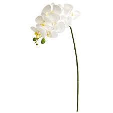 Maybe you would like to learn more about one of these? Orchid Phalaenopsis Artificial Flower Stem 6 Pcs Nearly Natural 28 White Decor Ebay