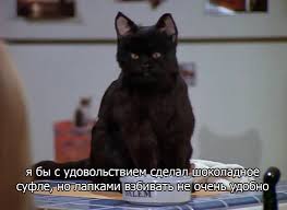 pin na doske c a t s a l e m