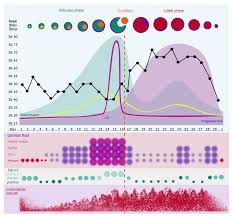 the science behind charting charting hormonal cycles