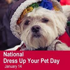 National Dress Up Your Pet Day January 14 National Dress Pet Day National Days