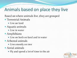 Class Iv Adaptations How Animals Survive