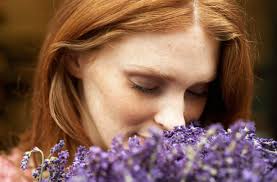 Lavender is the most beloved essential oil for aromatherapy. 7 Genius Lavender Essential Oil Uses For Skin And Hair Well Good