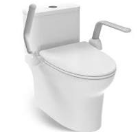 Amazon.com: HEINSY Toilet Safety Rail, Heavy Duty Foldable ...