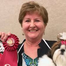 25 cute Shih Tzu puppies for sale in Southaven, Mississippi