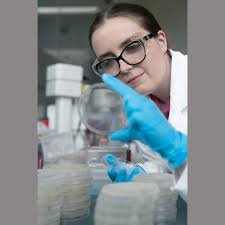 Buildings and bridges