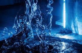 Bildergebnis für Joshua Serafin