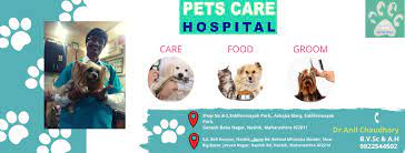 Shree sankalp hospital is one of the best dedicated healthcare facility in nashik road. Pets Care Hospital Home Facebook