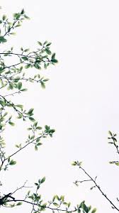 Download and use 30,000+ ipad wallpaper stock photos for free. Akwebajans Com Free Iphone Wallpaper Free Phone Wallpaper Iphone Background Wallpaper