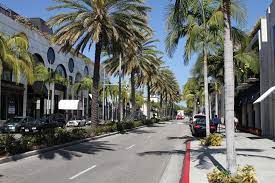 Taking a walk with her dog in the beautiful sunshine down rodeo drive. Rodeo Drive Wikipedia