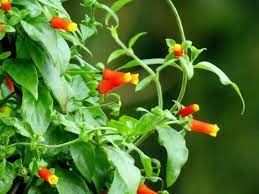 Подраздел 2.1: Создание стильного и комфортного рабочего пространства