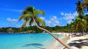 Guadeloupe is an archipelago and overseas department and region of france in the caribbean. Guadeloupe To Develop As Top Caribbean Destination