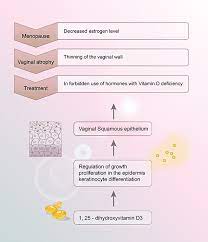 Our choice for the best calcium supplements for menopause. Jmm Journal Of Menopausal Medicine