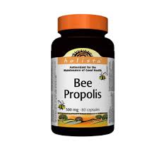 It is usually obtained from beehives and contains bee. Bee Propolis 80 Units Holista Phytotherapy Jean Coutu