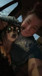 Lost dog named Nina in Metairie area near Williams and Illinois