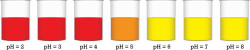 titration ck 12 foundation