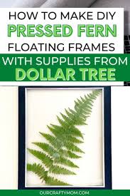 Maybe you would like to learn more about one of these? Learn How To Make Super Cool Diy Pressed Fern Wall Art