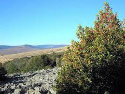 El Valle Turismo En Soria Paisajes De Espana Turismo Espana