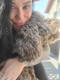 Introducing Cooper, new aussie sheepadoodle pup at three mile bend dog park