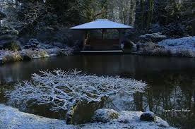 Winter 2018 19 Im Zenkloster Liebenau Winter Gartenbonsai Und Winter Karikomi Auch Im Winter Verliert Ein Japanisch Gestalt Japanischer Garten Garten Zengarten