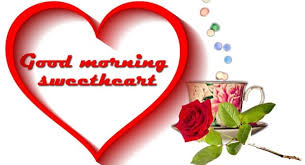 Good morning nature good morning beautiful images good morning flowers good morning love good morning greetings happy makar sankranti sai baba photos good night gif cute krishna. Good Morning My Love Quotes With Images Good Morning Messages For My Love