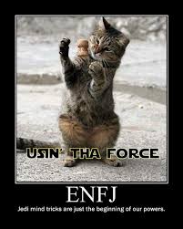 Pin By Samantha Hymer On So True Funny Animal Pictures Funny Animals Funny Cat Pictures